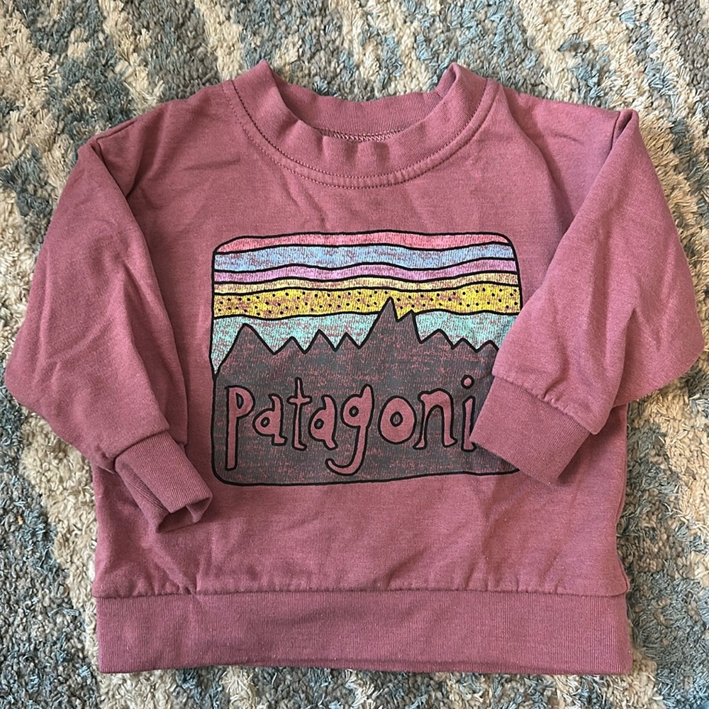 12m Patagonia toddlers sweatshirt